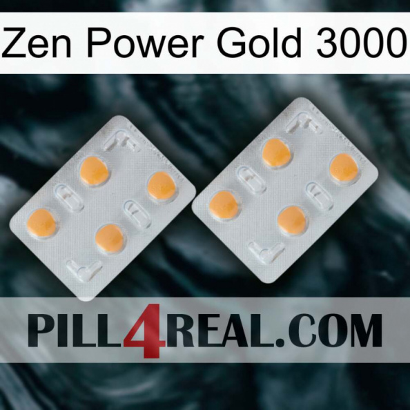 Zen Power Gold 3000 25.jpg